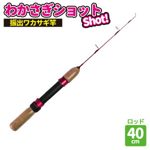 ނ JTM ނp bh 킩Vbg40 t@~[ Sҗp v} PRO MARINE ނ tBbVO