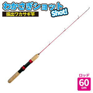 ނ JTM ނp bh 킩Vbg60 t@~[ Sҗp v} PRO MARINE ނ tBbVO