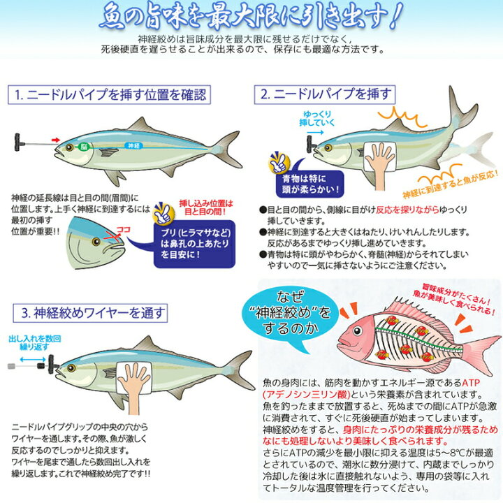 楽天市場 神経絞めセットmedium ワイヤー長60cm 0292 エア抜きもできる ルミカ ライフジャケット釣具アクアビーチ