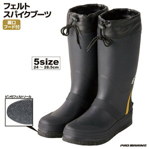 tFgXpCNu[c FTE303 ubN tBbVOV[Y ނ v} tBbVO C