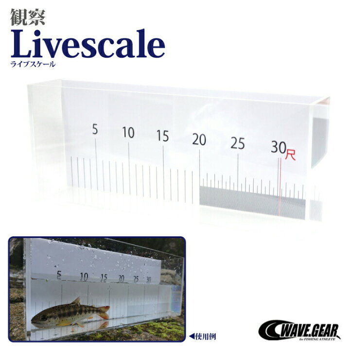 楽天市場 観察ライブスケール Kg 321 外寸縦150 横360 幅70mm 目盛り付 ウェーブギア ライフジャケット釣具アクアビーチ