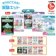 おうちでできる実験キット 5個セット 夏休み 自由研究 雨の日 室内遊び 子供 小学生 低学年 アメーバジェ…