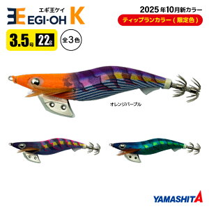 }V^ GM K 3.5 ނ 22g^105mm TRJ[ 2025N10 VF XCJU a A[ CJނ GMO YAMASHITA }A