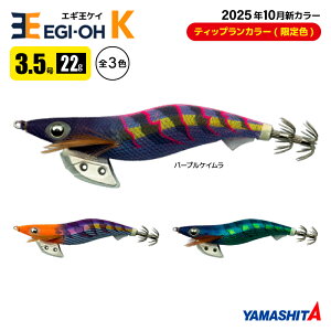 }V^ GM K 3.5 ނ 22g^105mm TRJ[ 2025N10 VF XCJU a A[ CJނ GMO YAMASHITA }A