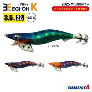 }V^ GM K 3.5 ނ 22g^105mm TRJ[ 2025N10 VF XCJU a A[ CJނ GMO YAMASHITA }A