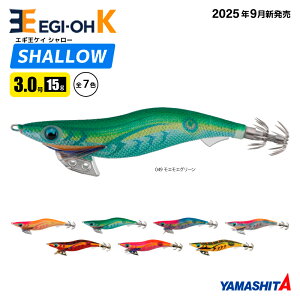 }V^ GM K V[ 3.0 15g^90mm 2025N VF XCJU a A[ CJނ GMO YAMASHITA