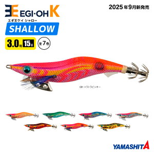 }V^ GM K V[ 3.0 15g^90mm 2025N VF XCJU a A[ CJނ GMO YAMASHITA