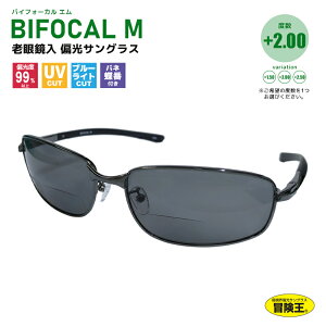 Vዾ ΌTOX ނ` BFM-1S oCtH[JM Z~n[hP[X Kl@ N[i[t 