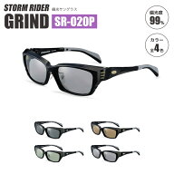 偏光サングラス 愛眼 STORM RIDER GRIND SR-020P グラインド ウェリントン型 釣り アウトドア