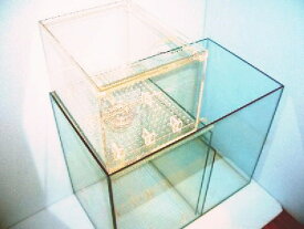 オーバーフロー 濾過槽 本体ガラス＋アクリル製ボックス 50×29×58cm 特価！