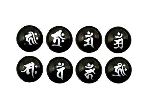 垐 [U[ IjLX  Zbg cђ 12mm ɃIXXIVR p[Xg[ / CyAI[  킢 IV  v[g Mtg 蕨