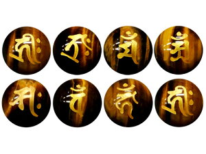 垐 Ֆڐ΁iFjZbg 12mm  r[Y ɃIXXI VR p[Xg[ / CyAI[  킢 IV  v[g Mtg 蕨