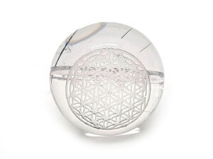 _􉽊w͗lr[Y t[IuCt ubNg}萅 15mm y ꗱr[Yz / VR΁Ap[Xg[̐XCyAI[  킢 IV