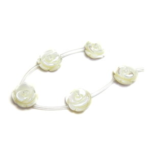 KNr[Y () 8mm }U[Iup[ y ꗱr[Yz o ɃIXXI VR p[Xg[ / CyAI[  킢 IV  v[g