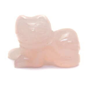 ~j蕨 L [YNH[c VR p[Xg[ v`Mtg ] ސE  ̓ hV̓ NX}X Mtg / CyAI[  킢 IV  v