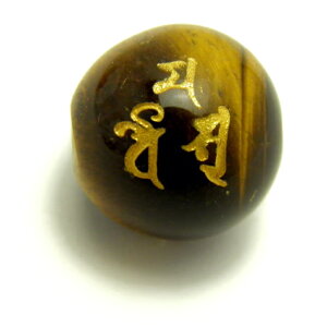 Oʑ单V Ֆڐ ^CK[AC (F) 12mm ɃIXXI VR p[Xg[ / CyAI[  킢 IV  v[g Mtg 蕨