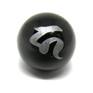 J nF IjLX  () 10mm ɃIXXI VR p[Xg[ / CyAI[  킢 IV  v[g Mtg 蕨