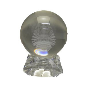 yuzۋ lH ωF ([U[) 50mm  p[Xg[ v`Mtg ] ސE  ̓ hV̓ Mtg / CyAI[  킢 IV 