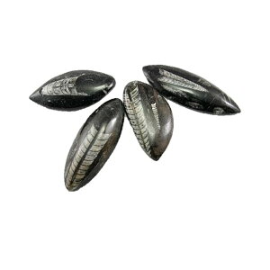 bRY VR pLiIgPX/I[\ZX/I\ZXjTCY 1 / VR΁Ap[Xg[̐XCyAI[  킢 IV  v