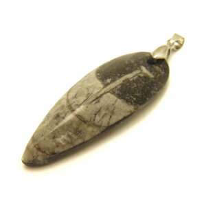 I\ZX (CJ)   (bRY) y_ggbv 1 / VR΁Ap[Xg[̐XCyAI[  킢 IV  v[g Mtg 蕨