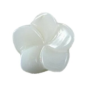 p[Xg[ `[tr[Y j[ 1 / CyAI[  킢 IV  v[g Mtg 蕨