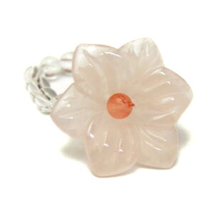 yAR0003V[YzN}`X OEw [YNH[c (r[Y^Cv) VR p[Xg[ v`Mtg ] ސE  ̓ hV̓ NX}X Mtg / CyAI[ 