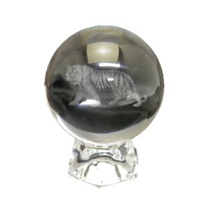 yuzۋ lH Ձi[U[j 50mm  p[Xg[ v`Mtg ] ސE  ̓ hV̓ Mtg / CyAI[  킢 IV  v