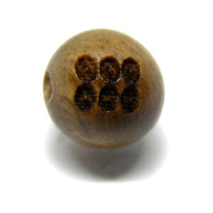 ^c ZK 8mm (f) h  퍑 Ɩy ꗱr[Yz VR  p[Xg[ / CyAI[  킢 IV  v[g Mtg 蕨