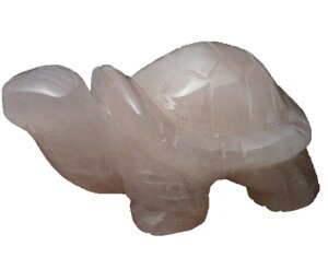 y~j蕨z  T [YNH[c 50×30×25mm 1 VR p[Xg[ v`Mtg ] ސE  ̓ hV̓ NX}X Mtg / CyAI[  킢 I