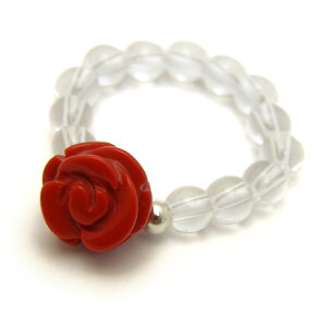 KNO w ԎX bhR[ p[Xg[ v`Mtg ] ސE  ̓ hV̓ NX}X Mtg / CyAI[  킢 IV  v[