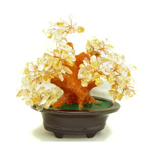 �V�R�΃c���[ ���^�C�v �V�g���� �p���[�X�g�[�� �v�`�M�t�g �]�� �ސE ���� ��̓� �M�t�g / �C���y���A���I�[�� ������� ���킢�� �I�V���� ���� �v���[���g �M�t�g ���蕨