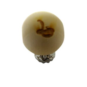 白蛇 栂 ツガ レーザー彫刻 セミラウンド 横穴 16mm玉 1粒売り No.1 へび ヘビ スネーク 天然石 パワーストーン / インペリアルオーラ おしゃれ かわいい オシャレ 可愛い プレゼント ギフト 贈