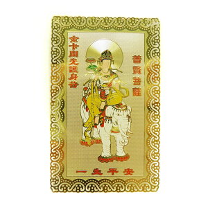 �y�아�z�y�G�݉����z�J���[�아 �����ω� ���^ ��아 �v�`�M�t�g �]�� �ސE ���� ��̓� �M�t�g / �V�R�΁A�p���[�X�g�[���̐��X�C���y���A���I�[�� ������� ���킢�� �I�V���� ����