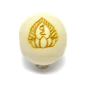  a V  cK 20mm Z~Ehyꗱr[YzVR p[Xg[ / CyAI[  킢 IV  v[g Mtg 蕨