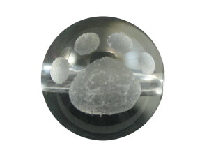 ق L̑ L̓r[Y  10mm f ɃIXXI VR p[Xg[ / CyAI[  킢 IV  v[g Mtg 蕨