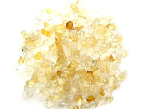 a 11 א΃`bv(TU) Vg (1kg)  p[Xg[ / CyAI[  킢 IV  v[g Mtg 蕨