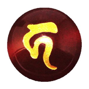 J nF 힐() 10mm ɃIXXI VR p[Xg[ / CyAI[  킢 IV  v[g Mtg 蕨