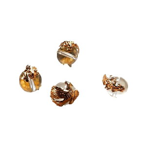 18bLl_b4_Zbg 12mmiA鐝AՁAj VR p[Xg[ / CyAI[  킢 IV  v[g Mtg 蕨