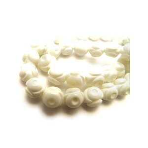 p[Xg[ zCgVF O 10mm A / CyAI[  킢 IV  v[g Mtg 蕨