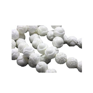 p[Xg[ zCgVF  10mm A / CyAI[  킢 IV  v[g Mtg 蕨