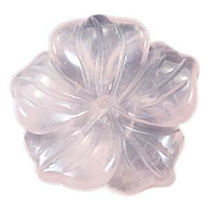 ANZT[ p[c or[Y p[Xg[ o iꗱj / CyAI[  킢 IV  v[g Mtg 蕨