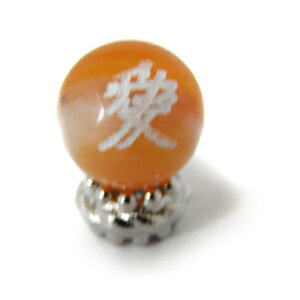 ]  ԓV 10mm f yr[YEr[YzVR΁Ap[Xg[̐XCyAI[  킢 IV  v[g Mtg 蕨