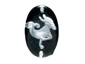 12 Rr fv[g ^ (EђʁEuXbgp) yꗱr[Yz / VR΁Ap[Xg[̐XCyAI[  킢 IV 