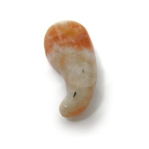 Bi  VR  TXg[ p[Xg[  STCY o ʃTXg[ VRΌ ʃp[Xg[ p[Xg[ p[Xg[ / CyAI[ 