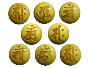 垐 ѐA Zbg r[Y c 12mm ɃIXX / VR΁Ap[Xg[̐XCyAI[  킢 IV  v[g Mtg 蕨