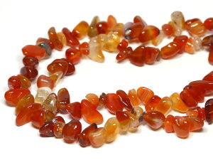 J[lA p[c () 80-90cm A  p[Xg[ / CyAI[  킢 IV  v[g Mtg 蕨