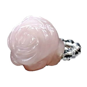 VR KN [YNH[c Oiwցj p[Xg[ o t[O p[Xg[ v`Mtg ] ސE  ̓ hV̓ NX}X Mtg / CyAI[ 