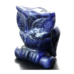 ~j蕨 ӂ낤 u \[_Cg VR p[Xg[ v`Mtg ] ސE  ̓ hV̓ Mtg / CyAI[  킢 IV  v[g M