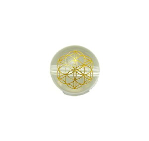 _􉽊w͗l t[IuCt () 12mm y ꗱr[Yz VR  p[Xg[ / CyAI[  킢 IV  v[g Mtg 