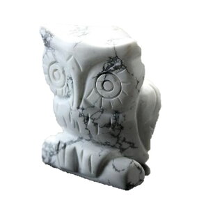 ~j蕨 ӂ낤 u zCgnECg  p[Xg[ v`Mtg ] ސE  ̓ hV̓ Mtg / CyAI[  킢 IV  v[